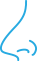 Nez